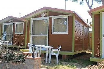 Camping *